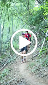 BIB:  <button type="button" onclick="openModal(28039782)" class="btn btn-primary btn-sm float-right" data-toggle="modal" data-target=".modal-high-quality">
                <i class="fa fa-download"></i> Download
                </button>